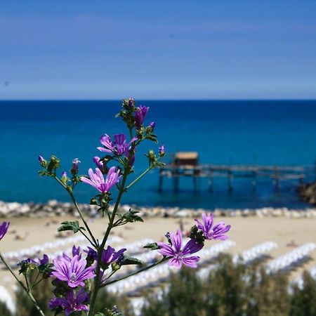 Nel Cuore Del Borgo Antico Termoli Exteriör bild